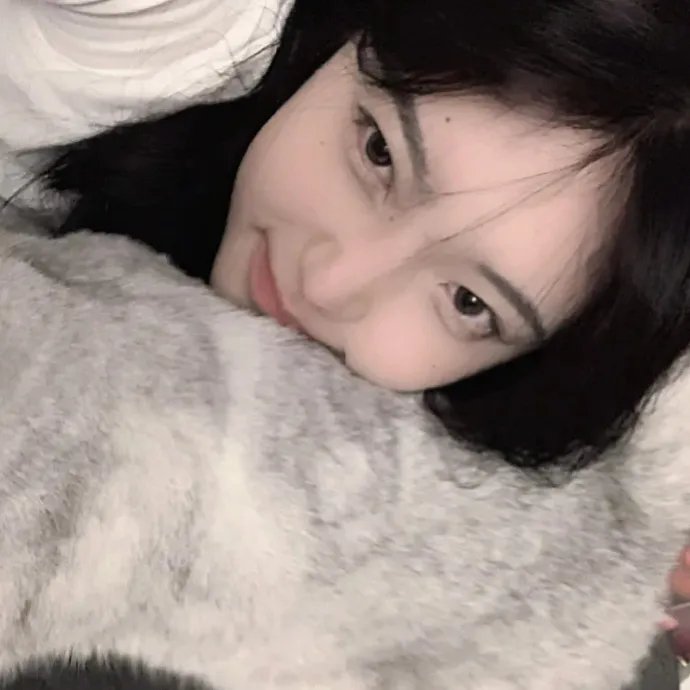 相棒剧场版 在线观看